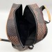 Мужской рюкзак Louis Vuitton E1073