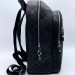 Мужской рюкзак Louis Vuitton E1176