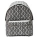 Мужской рюкзак Christian Dior L2730